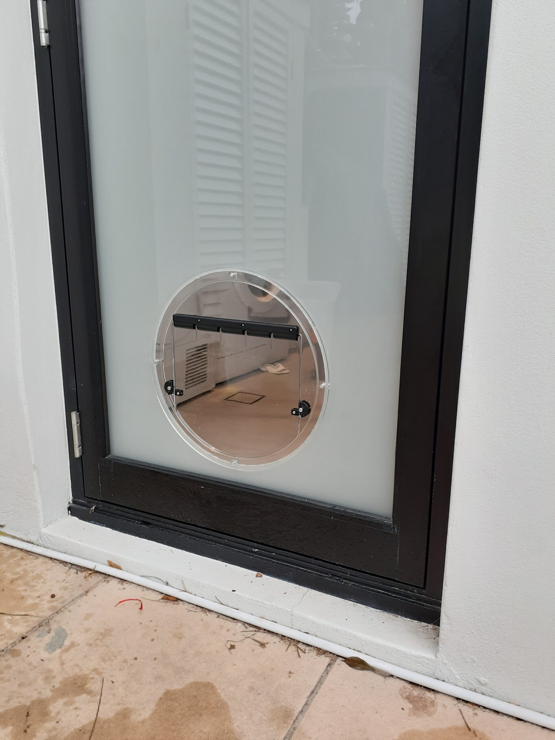 Cat Doors and Dog Doors Accord Glass